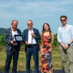 Premiazione vitivinicola con focus su Prosecco DOCG e vini biologici a Conegliano Valdobbiadene.