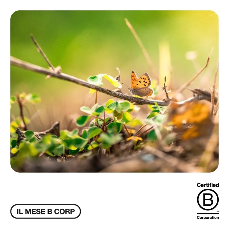 Si conclude il mese delle BCorp