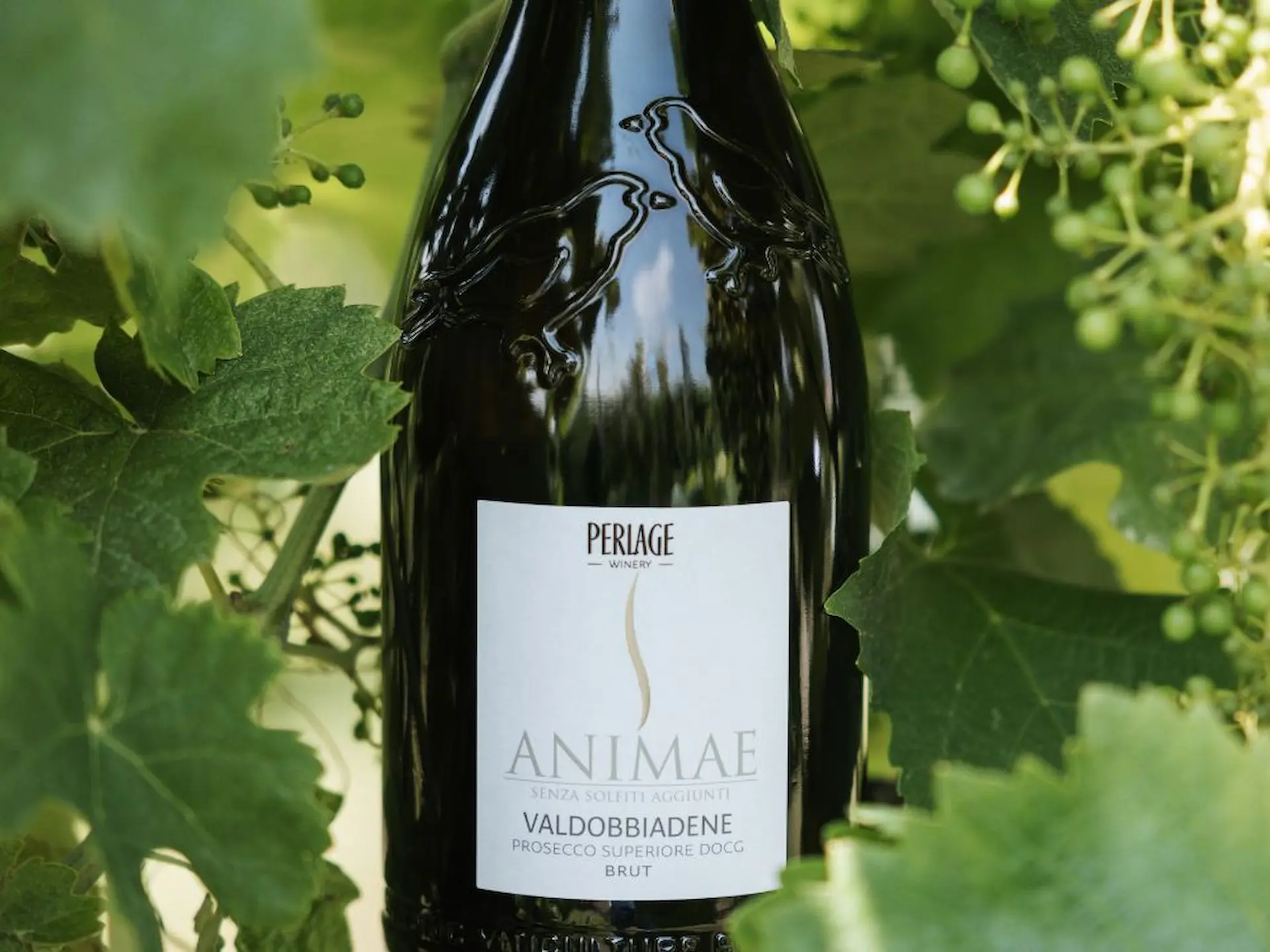 Sulfites: what they are and why they are used in wine