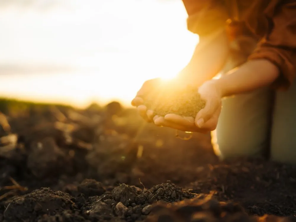 Quality soil to protect people and the environment