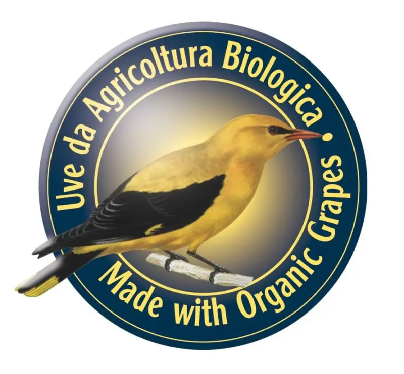 The history of the Golden Oriole