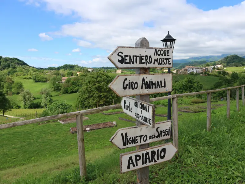 BCorp-Social marketing for sustainable businesses