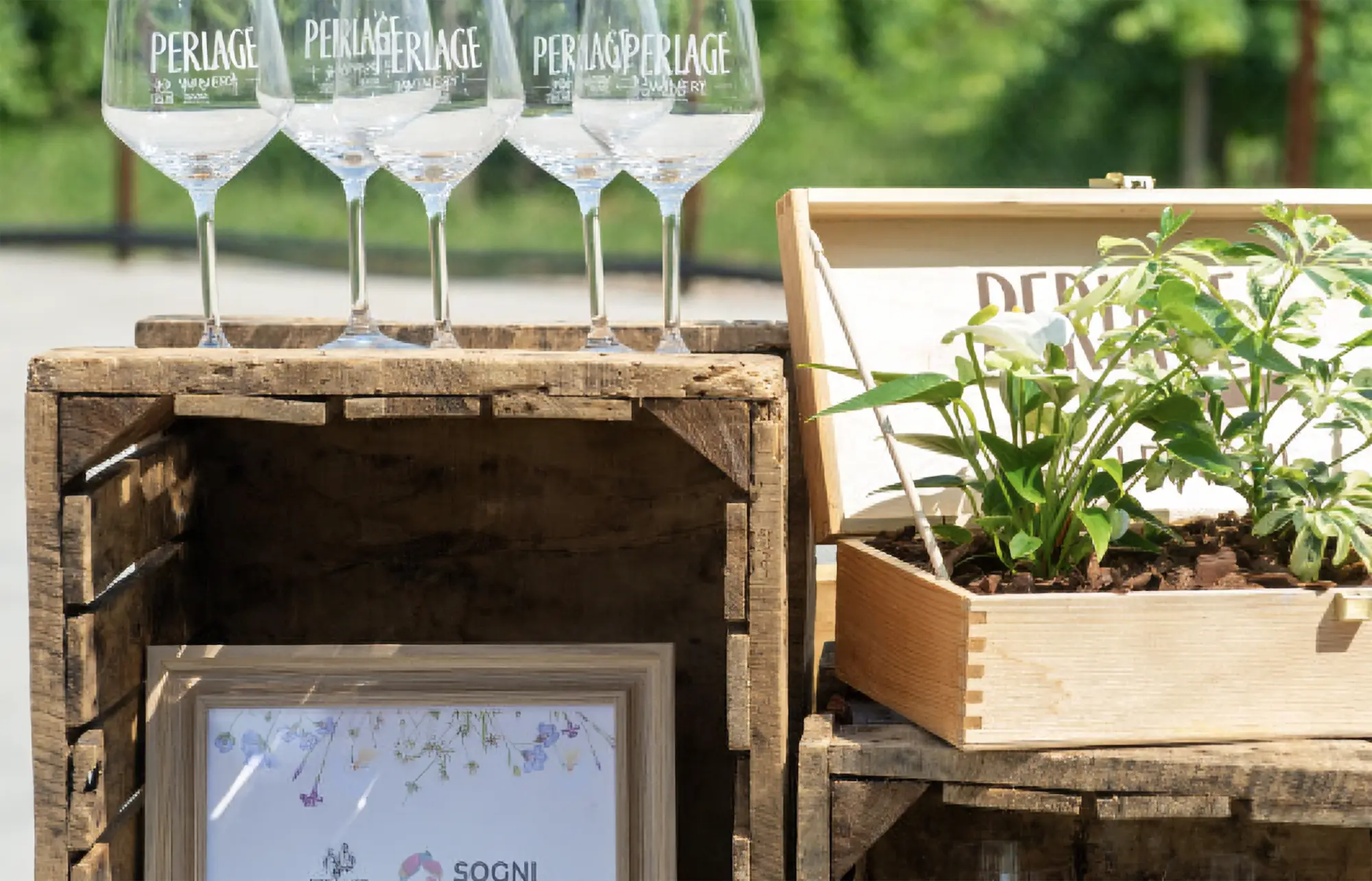 BCorp-Social marketing for sustainable businesses