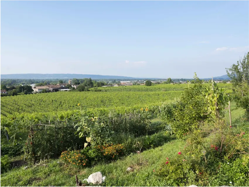 BCorp-Social marketing for sustainable businesses