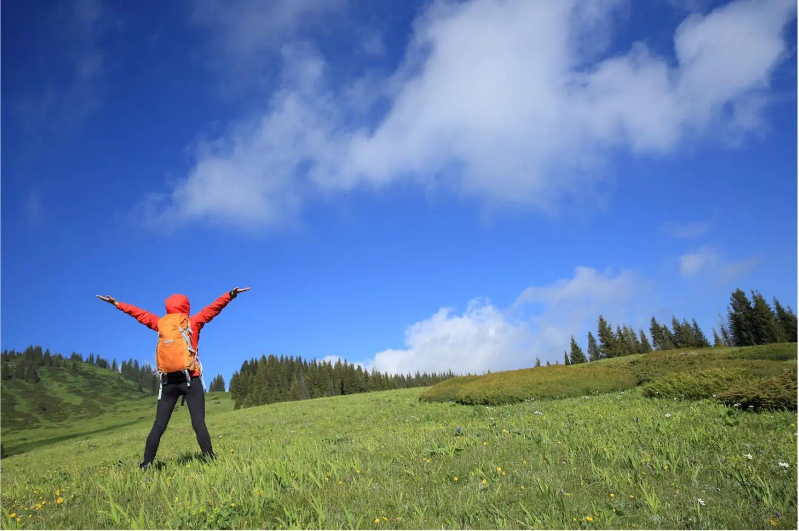 BCorp-Social marketing for sustainable businesses