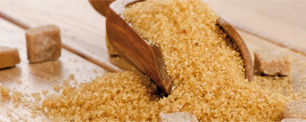 BCorp-Social marketing for sustainable businesses