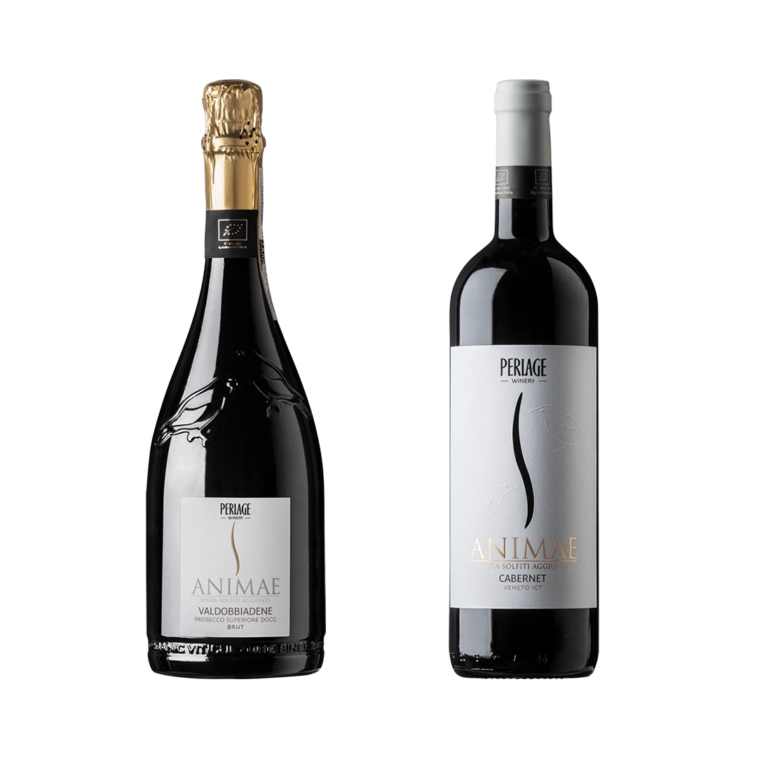 Bottiglie di vino Perlage: Prosecco DOCG Valdobbiadene e Cabernet biologico, eleganza e sostenibilità.