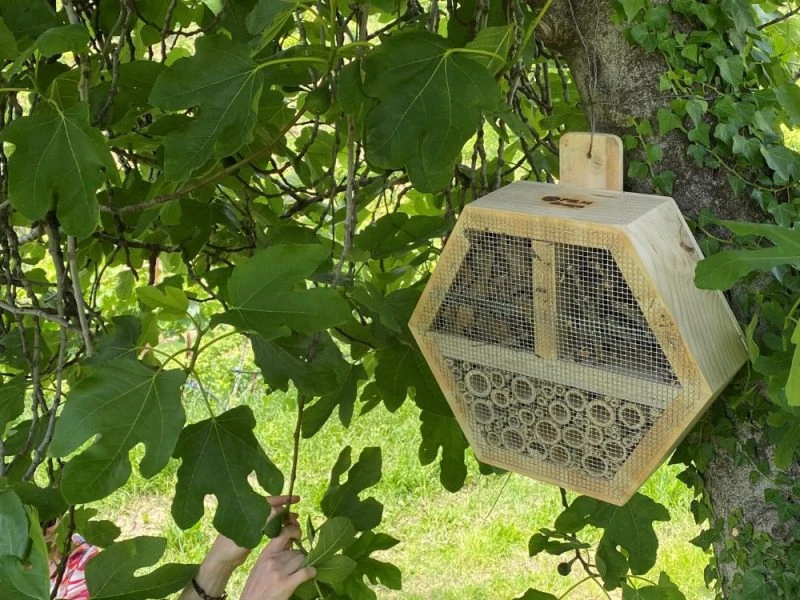 perlage-v-come-vegani Bug hotel nel vigneto, supporta l'ecosistema del Prosecco DOCG biologico Conegliano Valdobbiadene.