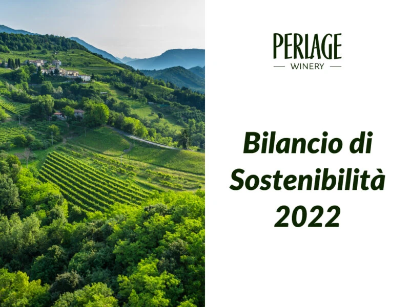 perlage-v-come-vegani Vigneti biologici di Perlage nel Conegliano Valdobbiadene, patria del Prosecco DOCG sostenibile.