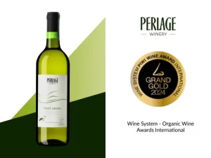 Bottiglia di vino biologico Perlage, premiato al Wine System, rinomato per il Prosecco DOCG.