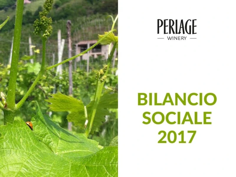 perlage-v-come-vegani Viti biologiche Perlage Winery Conegliano Valdobbiadene Prosecco DOCG, bilancio sociale 2017.