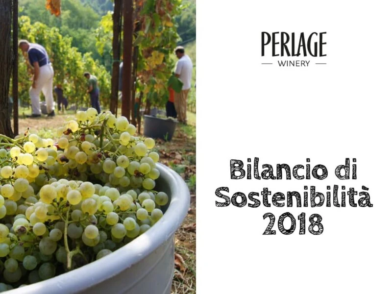 perlage-v-come-vegani Vendemmia biologica nel vigneto Perlage, cuore del Prosecco DOCG di Conegliano Valdobbiadene.