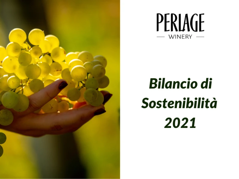 perlage-v-come-vegani Uva per Prosecco DOCG biologico, Perlage Winery, sostenibilità Conegliano Valdobbiadene 2021.